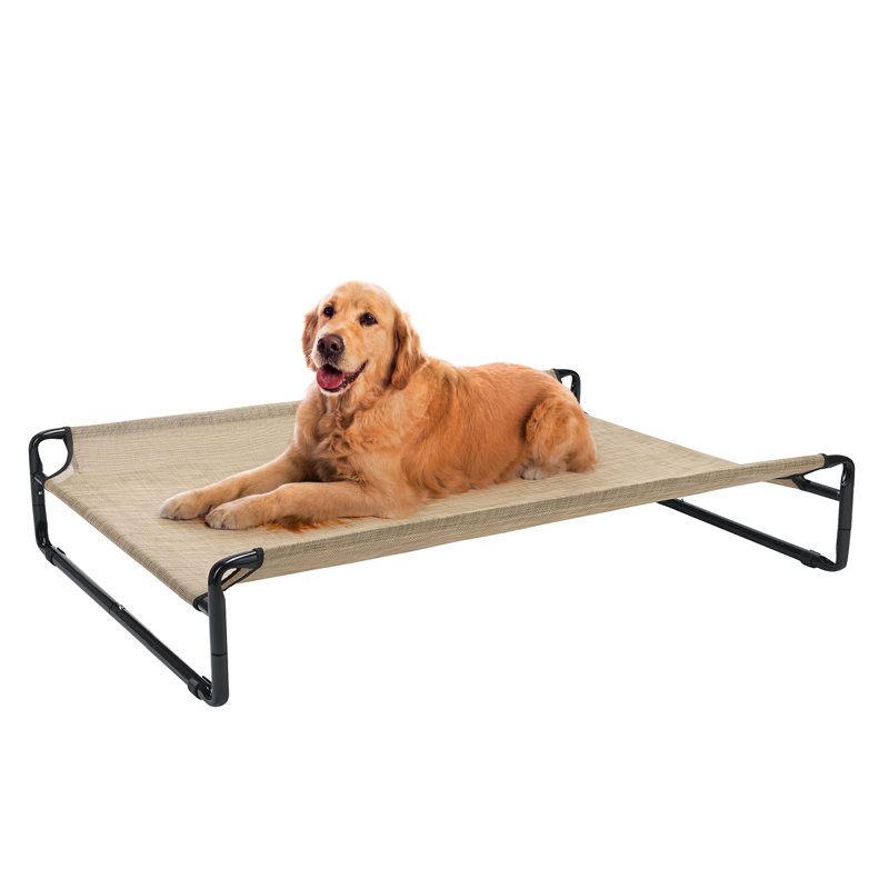 Dog beds for large dogs that chew shop